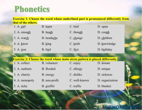 English 7 - Midterm revision