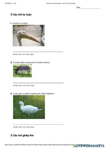 Farm animal - U13 FF2