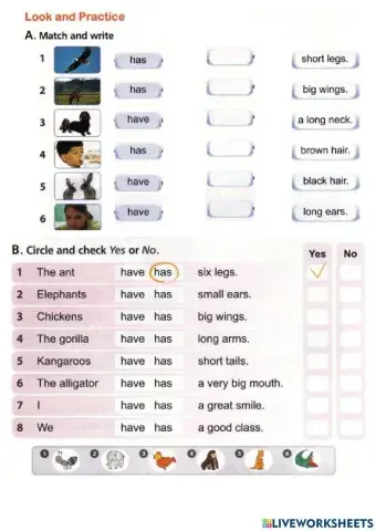 Oct 18: Verb to have