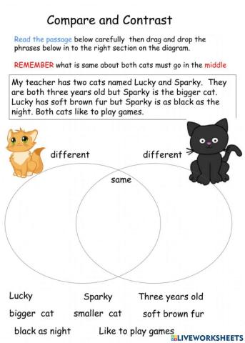 Comparing and contrasting