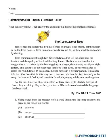 Language of the Bees