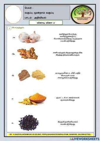 3-science-quiz-12