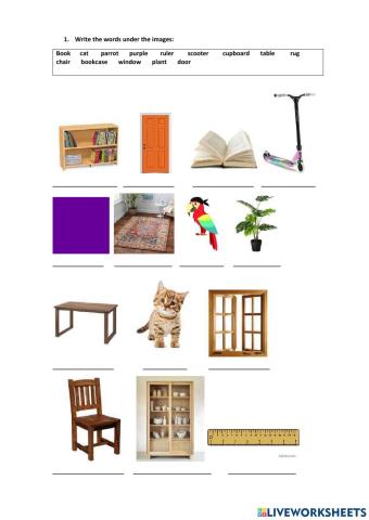 Primer examen 2º primaria