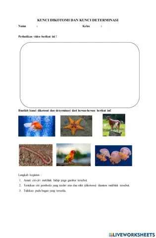Kunci dikotomi dan determinasi