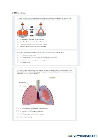 Gr 11 Gas exchange