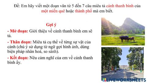 Bài tập ltvc thứ 3 18 -10