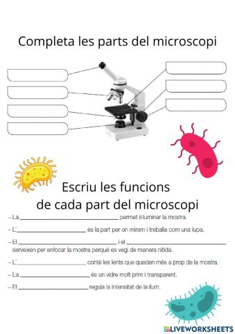 El microscopi
