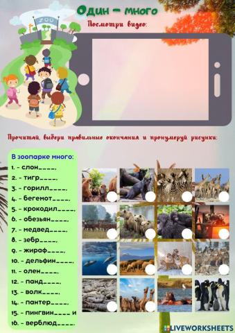 Один - много. Родительный падеж.