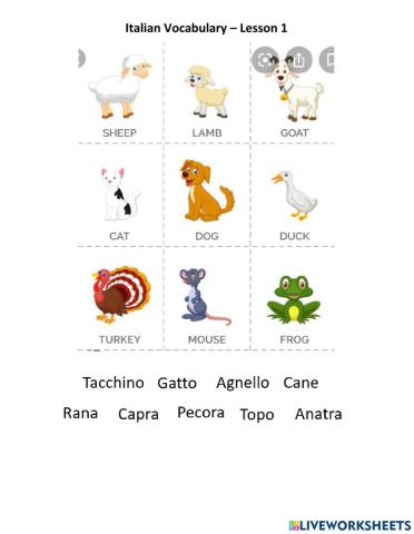 Italian Vocabulary - Lesson 1