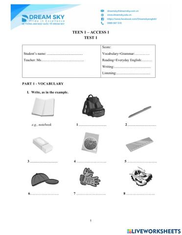 DS - Access 1 - Test 1 Vocab + Grammar
