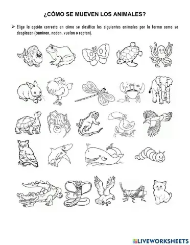 ¿Cómo se mueven los animales?