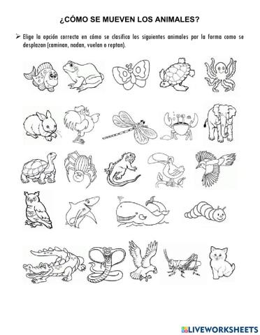 ¿Cómo se mueven los animales?