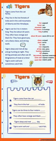 TIGERS: text on tigers