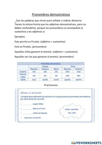 Pronombres Demostrativos y Posesivos