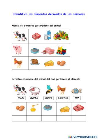 Identifica los alimentos derivados de los animales