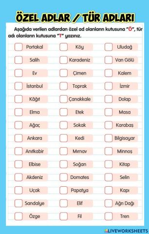 Özel Adlar - Tür Adları