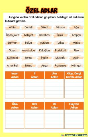Özel Adlar (Cins İsimler)