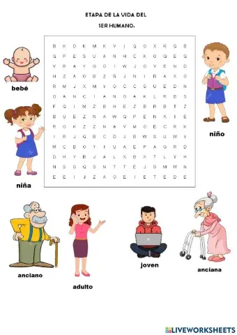 Etapa de la vida del ser humano