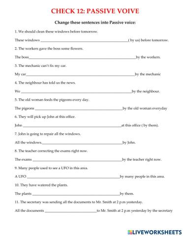 CHECK 12 - passive voice2