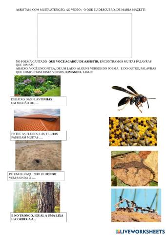 Poema:o que eu descubro