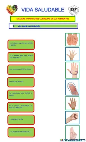 Medidas o porciones correctas de los alimentos