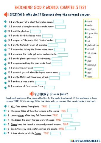 Enjoying God's World Chapter 3 Test