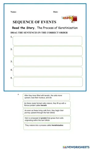 Chemical Composition of Hair - Sequencing