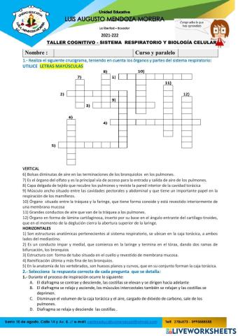 Anatomia y fisiologia humana