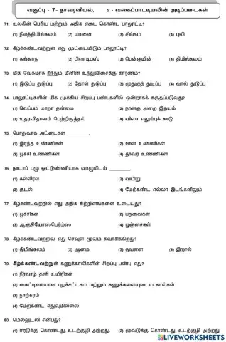 7. Basis of Classification-3