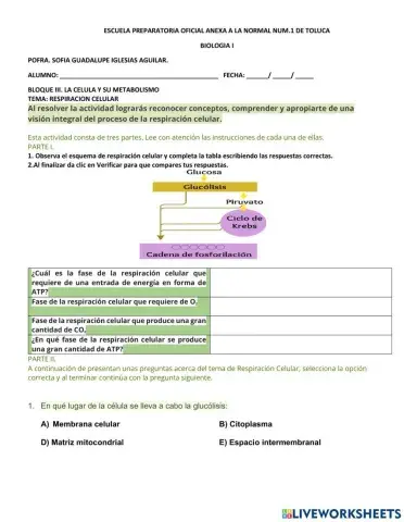 Respiración celular