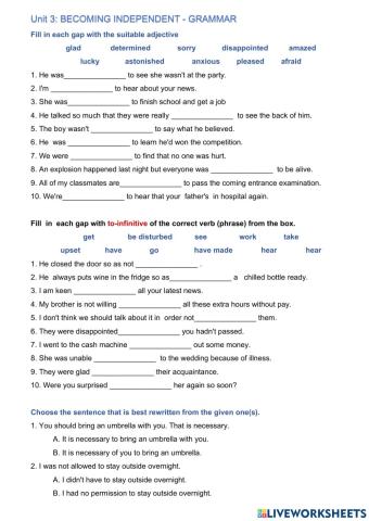 Unit 3: BECOMING INDEPENDENT - GRAMMAR