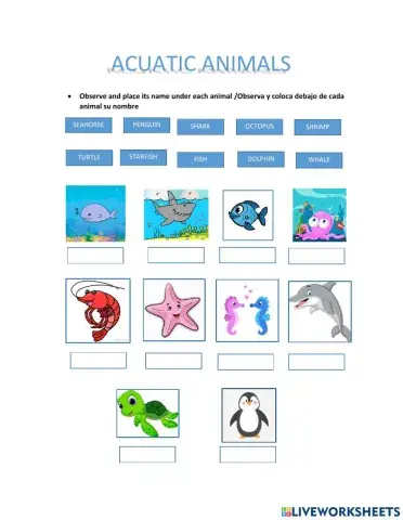 Acuatic Animals