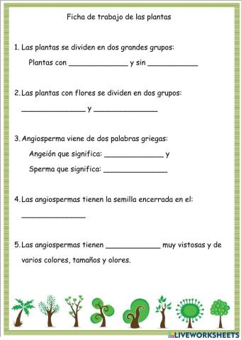 Plantas angiospermas