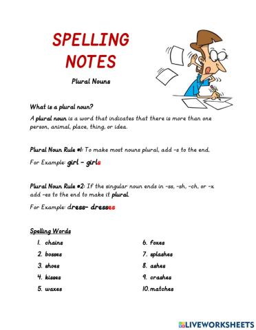 Plural Nouns Spelling Notes