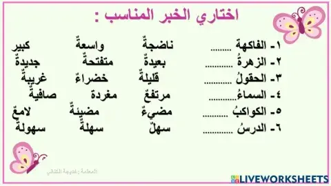 المبتدأ والخبر