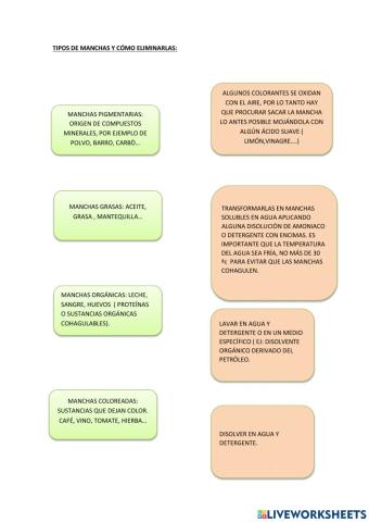 Manchas y su lavado
