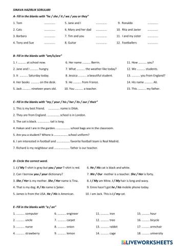 5th Grade - 1st Term 1 Exam - Preparation Sheet