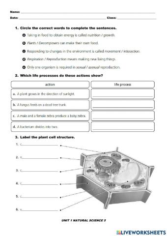 Unit 1 test natural science 5