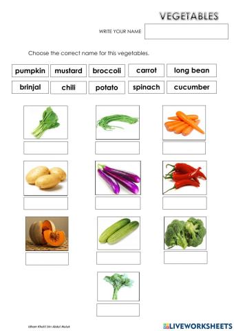 Sayuran - English
