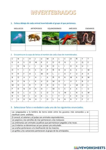 Animales invertebrados