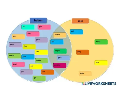 Partizip II - haben oder sein