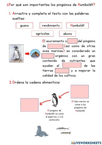 Los pingüinos de Humboldt