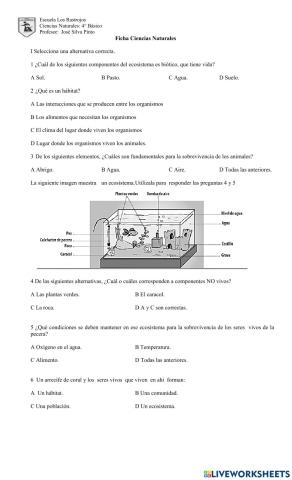 Ficha Relación Seres vivos y elementos no vivos