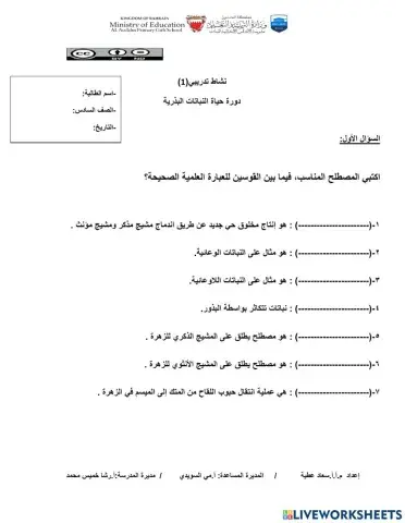دورة حياة النباتات البذرية