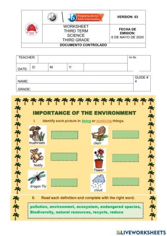 The importance of environment