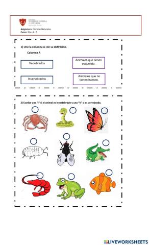 Guía invertebrados