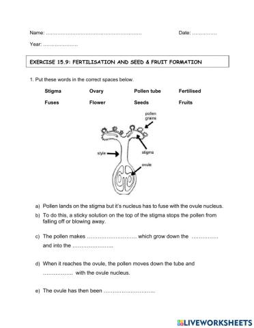 Exercise 15.9 (fertilisation & seed and fruit formation))