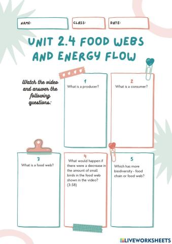 CCS9-U2.4: Food webs and energy flow