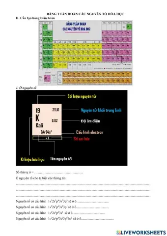 Hoa 10- bang tuan hoan t2