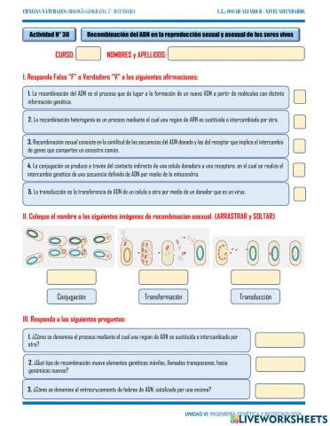 30. Recombinación del ADN